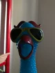 Rubber Chicken
