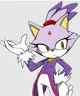 Blaze the Cat