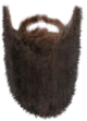 a random beard