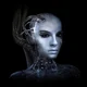 the bot