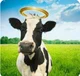 Holy cow