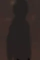Shadow