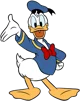 Donald  duck 