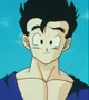Son Gohan