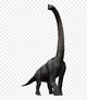 Brachiosaurus 