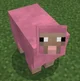 Rare Pink Sheep