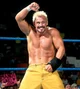 Scotty 2 Hotty