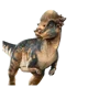 pachycephalosaurus