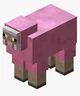 Uncommon Pink sheep