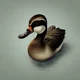A duck