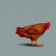 Chicken 2