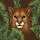 Wild Animal RPG