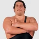 Andre the Giant