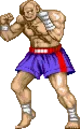 Sagat