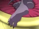 Beerus Feet 