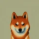 shiba