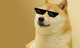 Doge chan