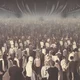 Crowd