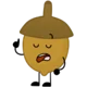 Acorn