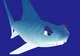 Snacker the Shark
