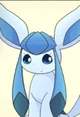 Lazuli the glaceon