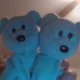 The Blue Bear Twins