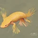 axolotl