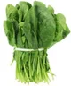 Spinach