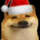 Christmas Doge