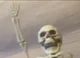 Jimmy The skeleton