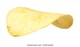 potato chip