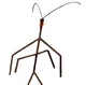 Stick Bug
