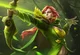 Windranger