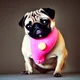 Donut Dog