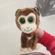 cocothemonkey
