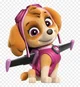 Skye paw 