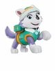 Everest paw 