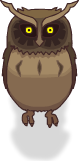 The Owl