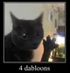 Dabloons Cat