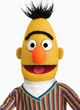 Bert