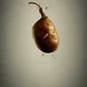 Potato