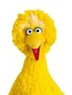 Big Bird