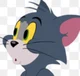 Tom the cat