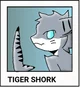 Tiger Shork