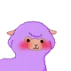Alpaca