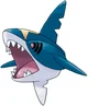 Sharpedo