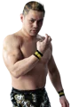 Taka Michinoku
