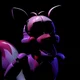 Funtime Foxy