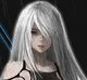A2 