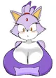 blaze the cat